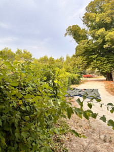 Photo de galerie - Avant       