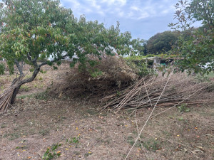 Photo de galerie - Paysagiste - Aménagement du jardin