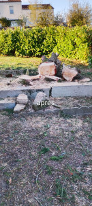 Photo de galerie - Abattage d'un arbre