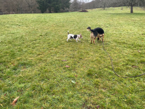 Photo de galerie - Visite à domicile 