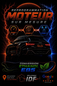 Photo de galerie - Reprogrammation moteur sur mesure
Calibration parfaite conversion flexfuel