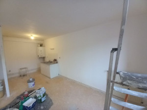 Photo de galerie - Ratissage et peinture 