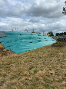 Photo de galerie - Tonte de pelouse - Débroussaillage