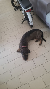 Photo de galerie - Twix