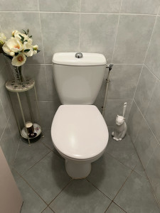 Photo de galerie - Remplacement wc 