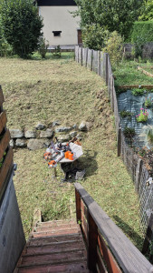 Photo de galerie - Debroussalage 