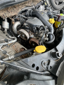 Photo de galerie - Distribution + pompe à eau pour cette Clio 3✅