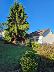 Photo de galerie - Abattage d'arbres 