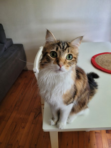 Photo de galerie - Petit nouveau 