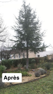 Photo de galerie - Le après 
