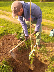 Photo de galerie - Paysagiste - Aménagement du jardin