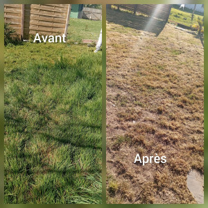 Photo de galerie - Herbe haute d'hiver ?