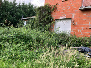 Photo de galerie - Tonte de pelouse - Débroussaillage