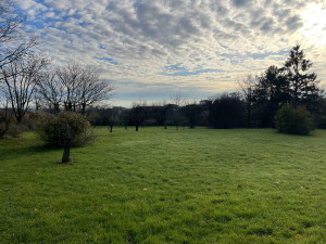 Photo de galerie - Tonte