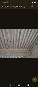 Photo de galerie - Peinture - Tapisserie