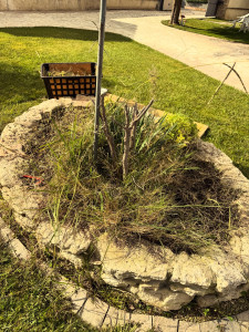 Photo de galerie - Débroussaillage 