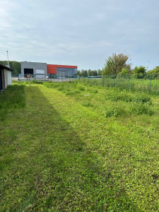 Photo de galerie - Tonte de pelouse - Débroussaillage