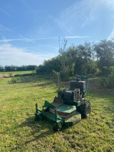 Photo de galerie - Tonte de pelouse - Débroussaillage