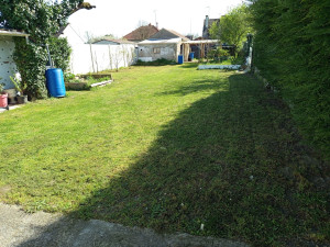 Photo de galerie - Première Tonte 