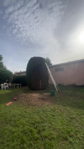 Photo de galerie - Taille 