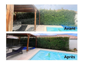 Photo de galerie - Taille de haie 