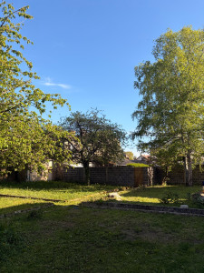 Photo de galerie - Elagage et coupe d'arbres
