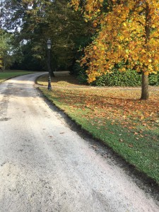 Photo de galerie - Terrassement pour bordure