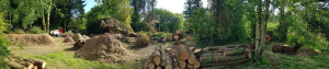 Photo de galerie - Abattage et élagage de plusieurs arbres avec broyage des branches .