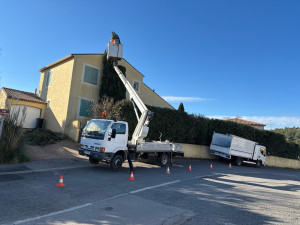 Photo de galerie - Voici les étages d’un cyprès avec nacelle et camions-bennes pour évacuation