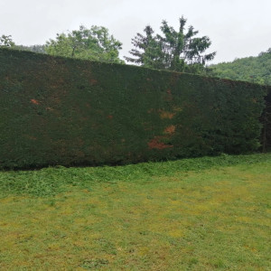 Photo de galerie - Paysagiste - Aménagement du jardin