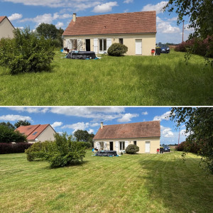 Photo de galerie - Tonte de pelouse