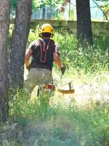 Photo de galerie - Débroussaillage 
