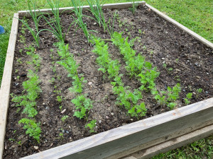 Photo de galerie - Jardinier