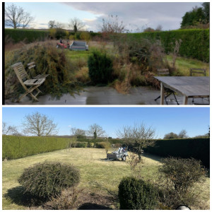 Photo de galerie - Tonte de pelouse et débroussaillage 