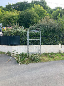 Photo de galerie - Elagage et coupe d'arbres