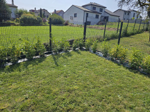 Photo de galerie - Paysagiste - Aménagement du jardin