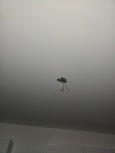 Photo de galerie - Changement de luminaire