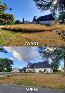 Photo de galerie - Débroussaillage et tonte de pelouse