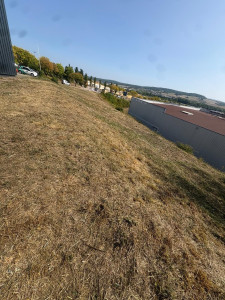 Photo de galerie - Entretien terrain 