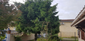 Photo de galerie - Avant