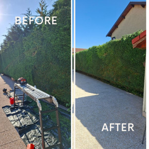 Photo de galerie - Taille de haie, 3,20m de haut 16m de long 
rabatu a 2,50 m de haut