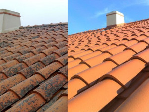 Photo de galerie - Nettoyage toiture avant après.