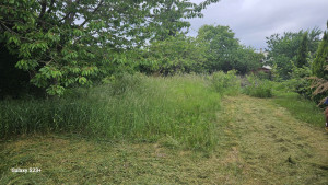 Photo de galerie - Debrouisaillage 