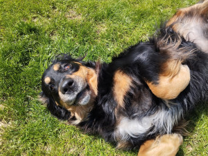 Photo de galerie - Pause câlin après une séance de jeux