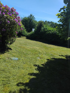 Photo de galerie - Tonte