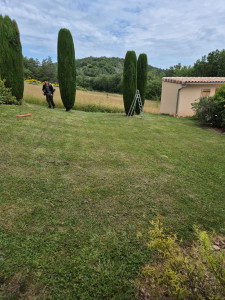 Photo de galerie - Taille cyprès de Florence 
