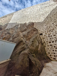 Photo de galerie - Elagage et coupe d'arbres