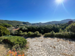 Photo de galerie - Thuyas 