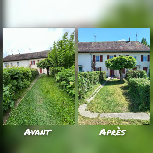 Photo de galerie - Taille de haies et d'arbustes