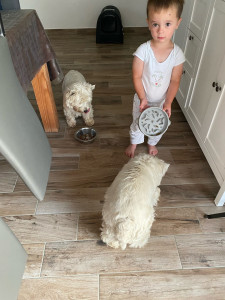 Photo de galerie - Nazca et Palma